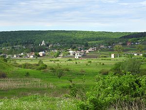 Панорама села