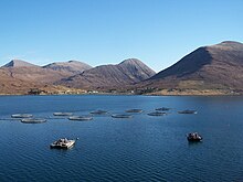 Salmon farming in the sea (mariculture) at Loch Ainort, Isle of Skye, Scotland Loch Ainort fish farm - geograph.org.uk - 1800327.jpg