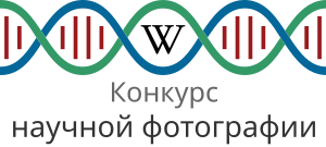 Логотип Конкурса научных фотографий и визуализации 2015