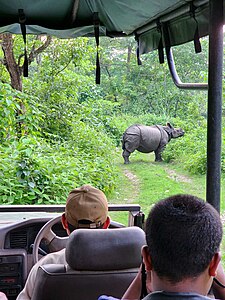 Photowalk Event in Chitwan