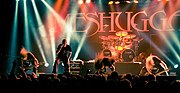 Miniatura para Meshuggah