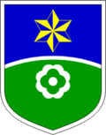 Wappen von Mislinja