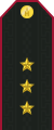 Service uniform shoulder board (Senior lieutenant)