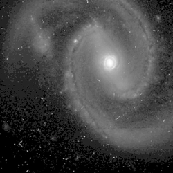 NGC 1019