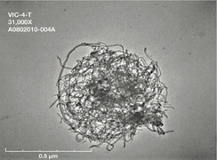 An aerosol droplet containing nanomaterials ejected from vial during sonication (N)