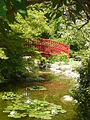 Pont de bois de face