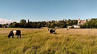 View towards Richmond