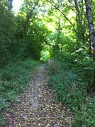 Camino de la Vía Francígena entre Cossonay y Lausana.