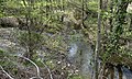 Point de confluence entre le ruisseau du Trésor à gauche et l'Auzon en face.