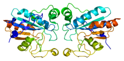 Protein GPX1 PDB 2f8a.png