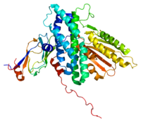 Image illustrative de l’article Pyruvate déshydrogénase kinase