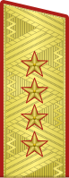 גנרל ארמייה בצבא האדום (1955–1974)