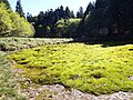 2017年5月19日 (金) 10:54時点における版のサムネイル