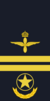 Sweden-AirForce-OR-7b (2024).png