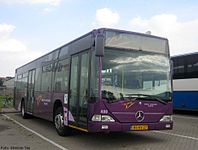 ​ Veel bussen rijden in de paarse kleurstelling. Anderen rijden als pachter bij een vervoerbedrijf in de kleurstelling van het betreffende vervoerbedrijf.