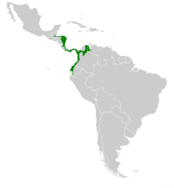 Distribución geográfica del ermitaño barbudo colibandeado.