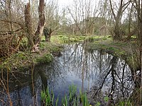 Waterway through the Trap Grounds.