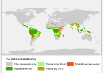 Tropical forest ecological zones (FAO) Tropical forests.tif