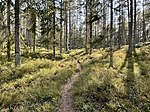 En del av Sörmlandsleden som leder genom naturreservatet.