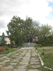 Novyj Buh – Veduta