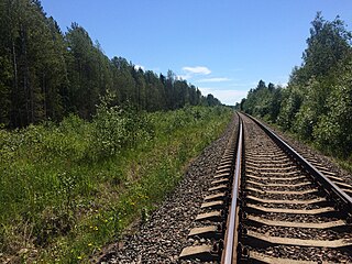 Разобранный боковой путь. Вид в сторону ст. Питкяранта.