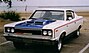 1970 AMC The Machine 2-door muscle car in RWB trim by lake.JPG