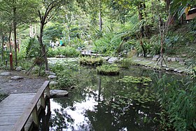 2010 07 17270 5840 Beinan Township, Taiwan, Jhihben National Forest Recreation Area, Walking paths, Ponds.JPG