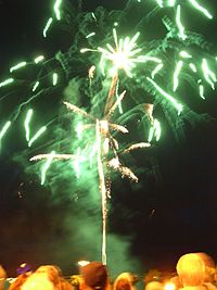 A Guy Fawkes Night Display.