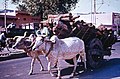 Agra 1976