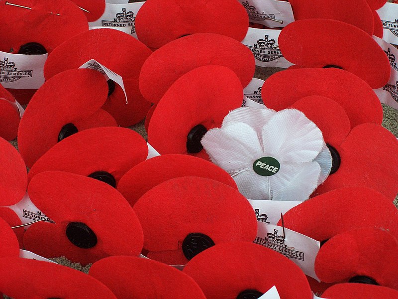 File:Anzac poppies.JPG