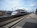 Vignette pour TGV P01
