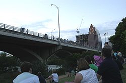 Tourists waiting for the bats.