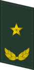 CAPF-яка-0718-MG.png