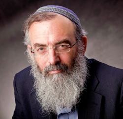 הרב דוד סתיו, 2012