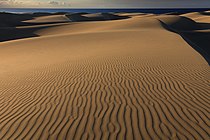 Zicht op de duinen en de oceaan