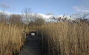 Education space in the wetlands area