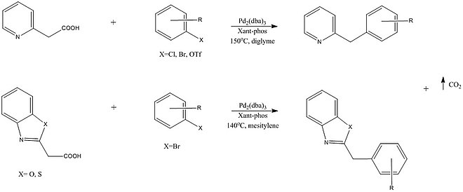 Formation of sp3C-heteroaromatics by Shang et al. 2010