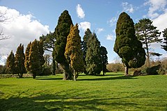 Former inmate cemetery, Central Hospital, Hatton - geograph.org.uk - 1785790.jpg