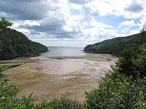 Blick in die Bay of Fundy