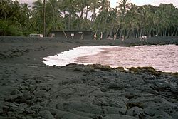 Sabbia nera vulcanica nella baia di Kealakua, nell'isola di Hawaii