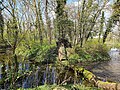 Hollsteitz, Insel im Teich von Parkanlage Hollsteitz