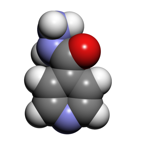 File:Isoniazid 3d.png