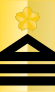 Знак отличия JGSDF сержант-майор (a) .svg