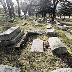 בית הקברות היהודי בדופניצה (2021)