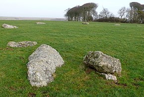 Kingston Russell Stone Circle - geograph.org.uk - 1122916.jpg