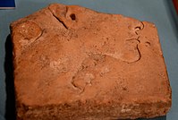 Limestone trial piece showing the distinctive Amarna-style elongation of Akhenaten's face. Shallow sunk relief. Petrie Museum