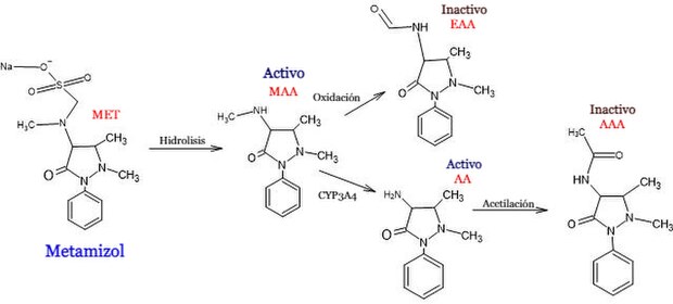 Figura 1: Estructura y biotransformación del Metamizol. MAA; 4-metilaminoantipirina, FAA; 4-formil amino antipirina, AA; 4-aminoantipirina Y AAA; 4-metilaminoantipirina.