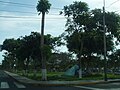 Parque en la intersección de las avenidas La Mar con Riva Agüero