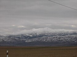 Picos zapateros.jpg