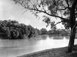 Queensland State Archives 2133 La Thomson Rivero en Longreach March 1938.png